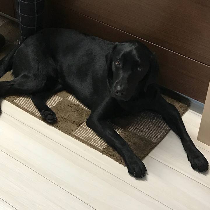 Fa39109e 714a 4b3f b27b 50e79a3313dd 1520589717852