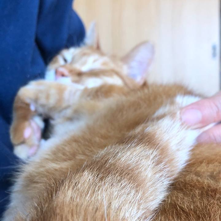 Fa3928f7 804b 4b32 9367 737f54f3fefe 1712970926365