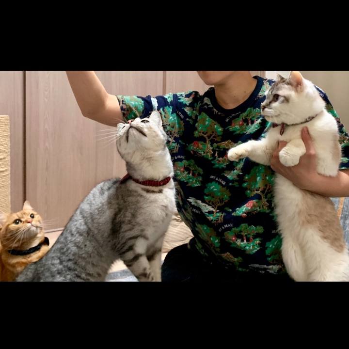 Fa3932f6 057e 440c 92f2 6d9d3a378991 1581942175447