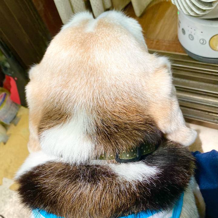 Fa395c5f f5cf 4dc1 a410 e3c93d62aa12 1658635802479