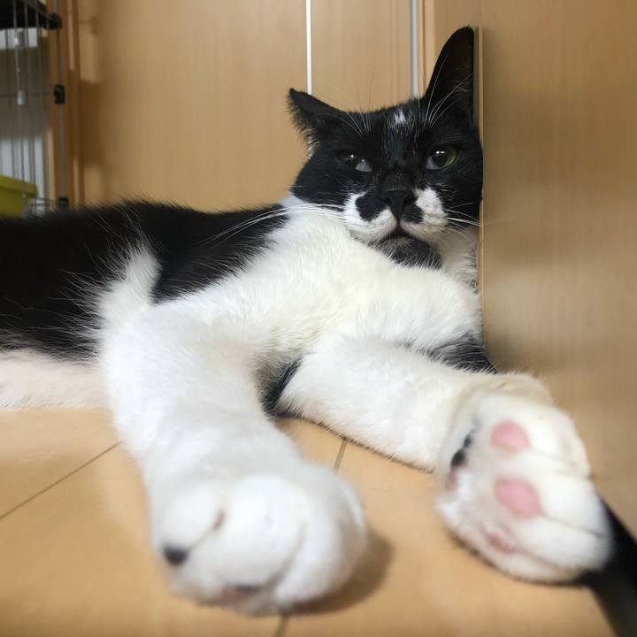 Fa3976ec 89f2 43dc b334 6bcd265ca6fd 1597200610779