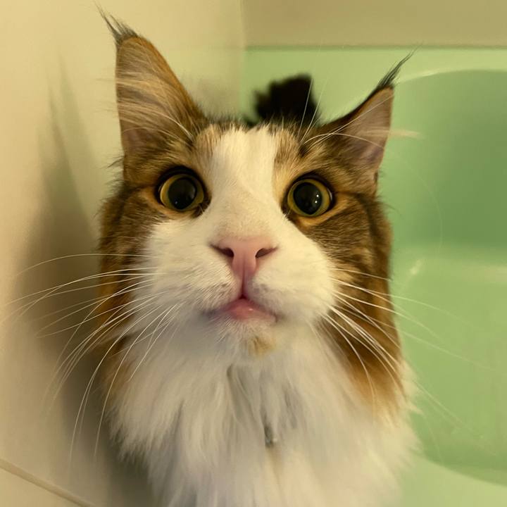 Fa39cdf7 1fb9 4206 a688 5904c0960507 1666036587337