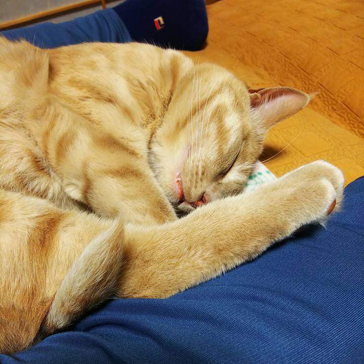 Fa39db04 32f1 44c8 ab8e 07ea09c740c8 1588499893469