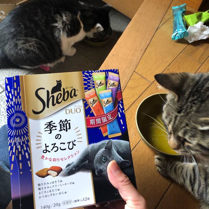 Fa39e561 a44e 442d 9a6d f7182341c669 1562923868074