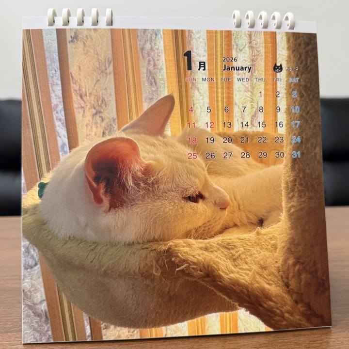 Fa39ff59 9995 448d ac90 ee75509e21dc 1770276142497