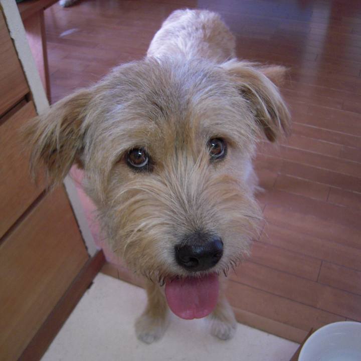 Fa3a4d6f 0cc4 4471 8b7a ca8f6813b4dd 1618825654518