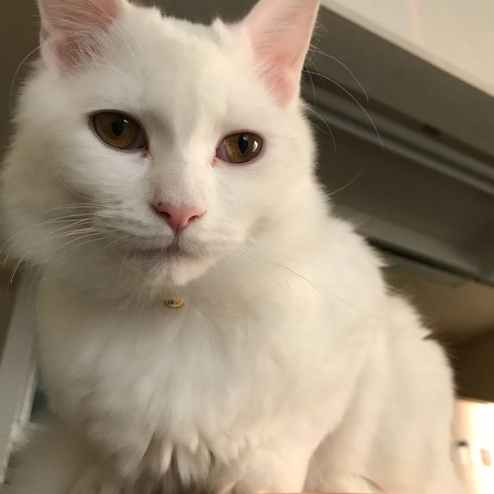 Fa3a6c18 da81 494d b7b5 2f789a3fea52 1516748856319