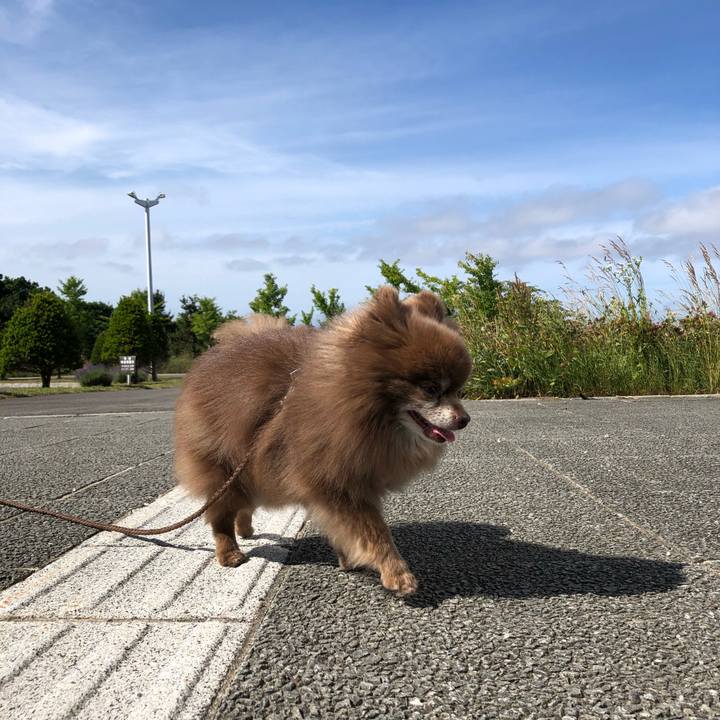 Fa3aad3a f9f9 42cd a722 24957a05aa94 1625358455498