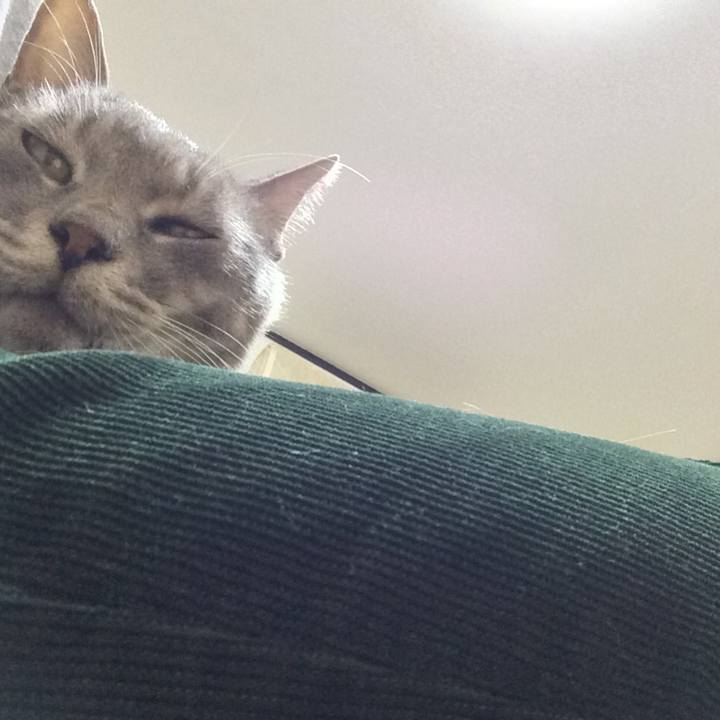 Fa3b09a2 48c1 4ce4 ba4c 49070b82e6c1 1542202130357