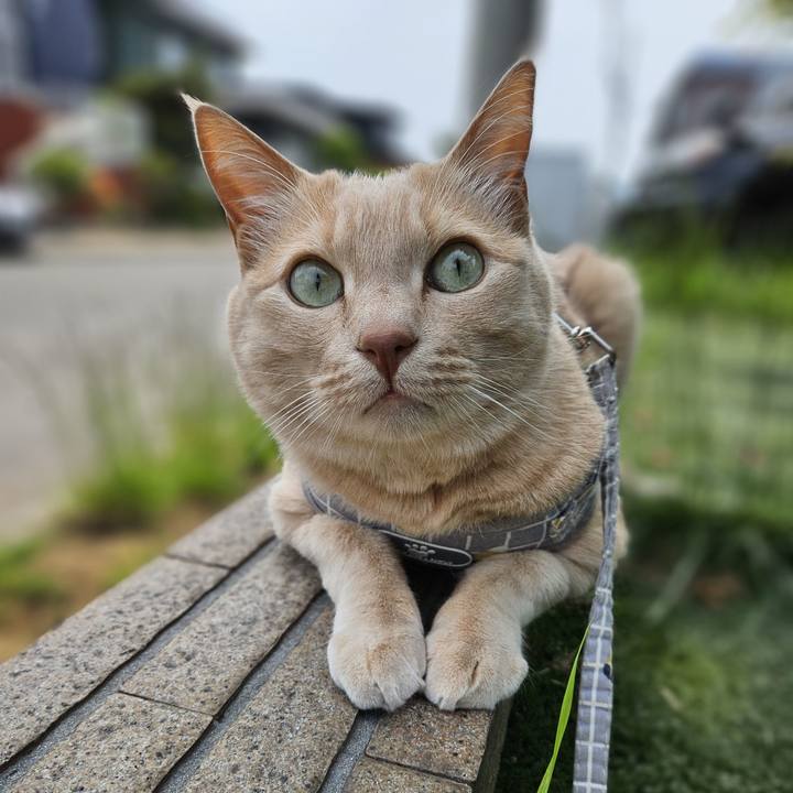 Fa3b3924 e478 4ee3 a6b6 e5b533dab5b1 1748664958957