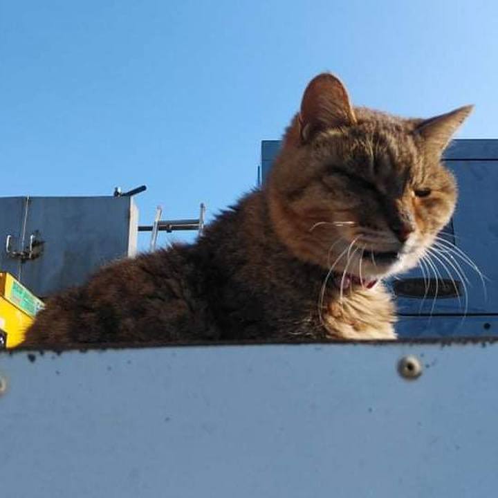 Fa3b3aee 7577 4d77 8968 f5757cc2f34d 1637029334058