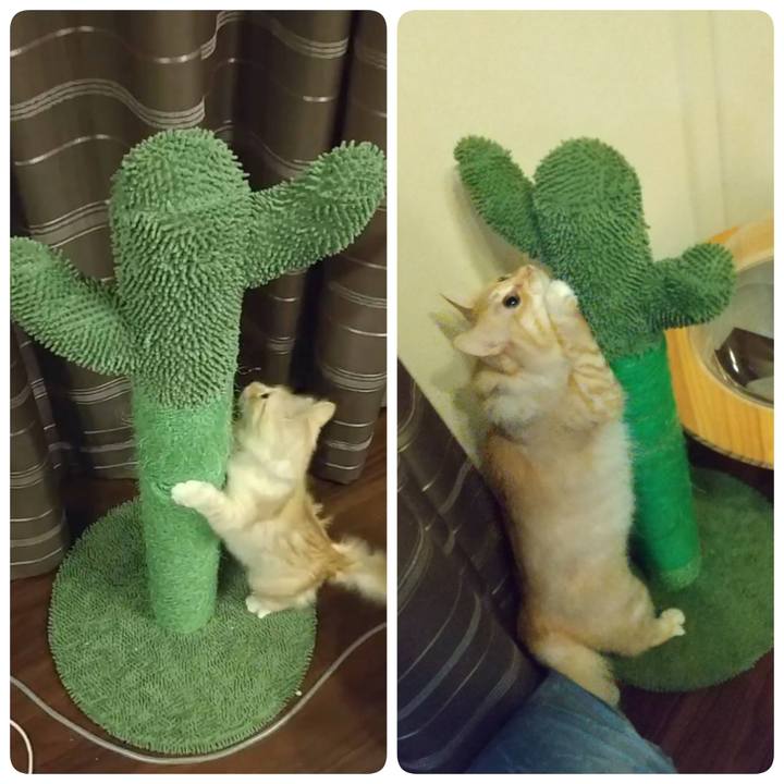 Fa3b4b7b e87d 43b5 8408 19315b6b8fb1 1636495408028