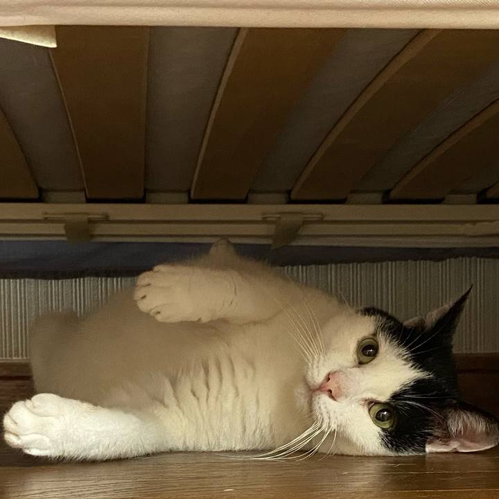 Fa3b7f53 1288 4d93 ab02 b133e644cdb4 1595331748495