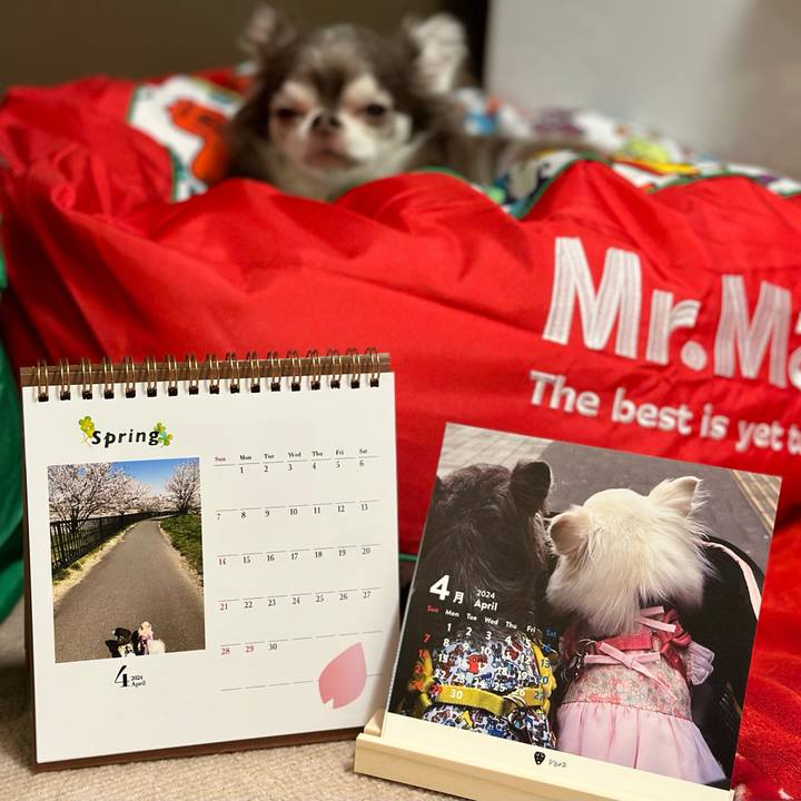 Fa3b8914 30de 48b8 835a adf25bee88cd 1711970907111