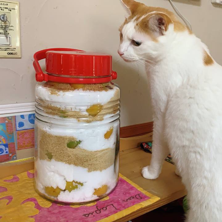 Fa3b90bb 193b 44aa 9324 ab46e86022b8 1624176956117