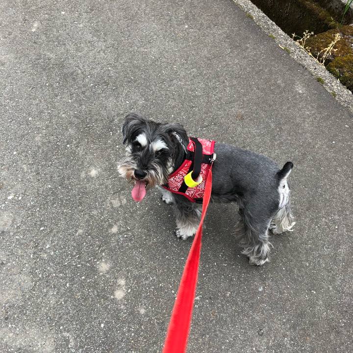 Fa3b963a 67f0 406e 8527 957ee8dca8e4 1589090639053