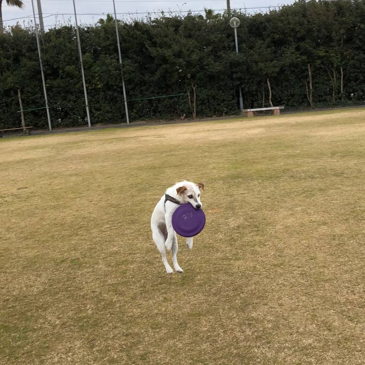 Fa3bcbf4 011f 41c3 8bdd 0cfed9fd5e6f 1512885454507