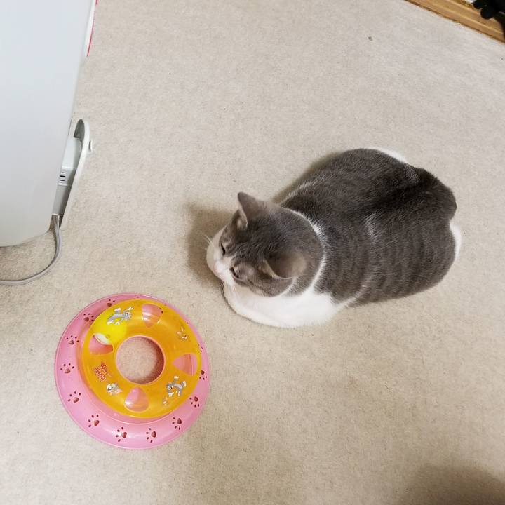 Fa3beb6d ce01 4143 b9f3 b8b857d2eafb 1510491339516