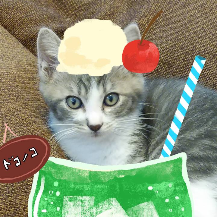 Fa3c5b86 783a 4cc6 9447 a93303c31936 1755090911535