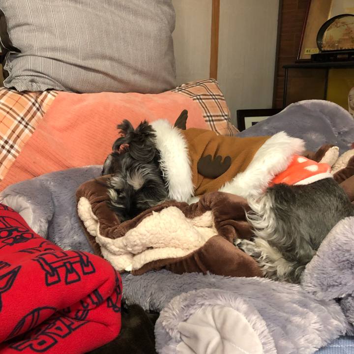 Fa3c704e be17 4e12 a370 42c49dbf5511 1608963663117