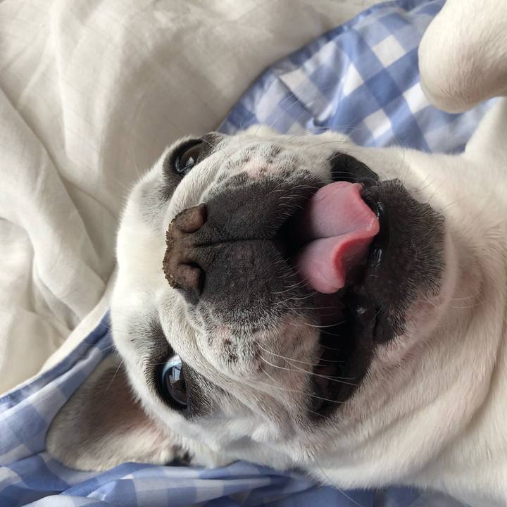 Fa3c7887 71c9 4cf7 8114 a2dbec3ca164 1619309014934