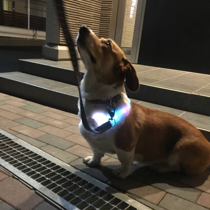 Fa3c79fc 31cd 4fe8 8138 5992df3312e5 1605924493807