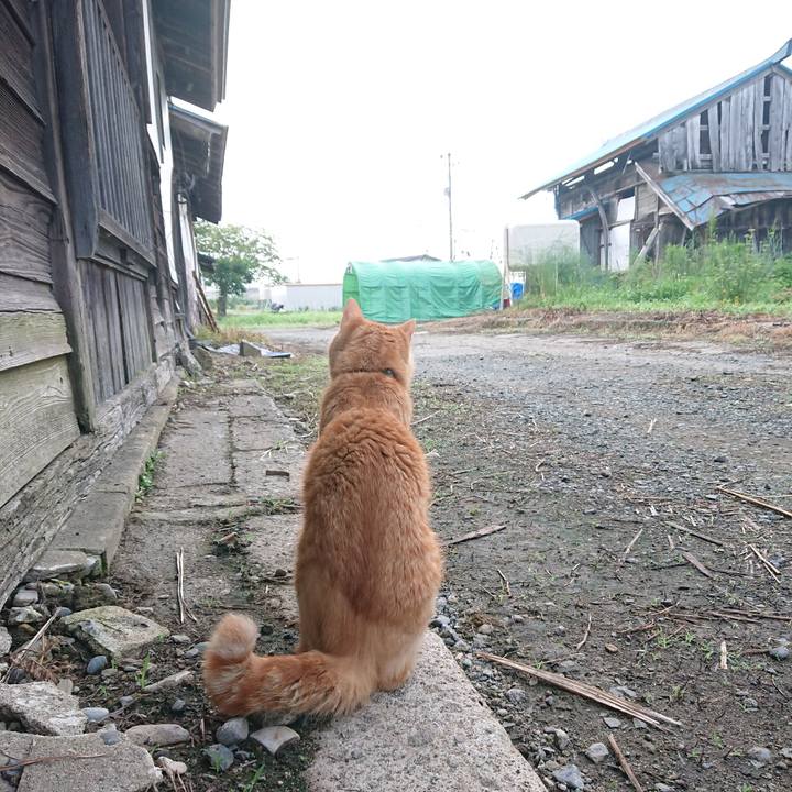 Fa3c7d5a f2fc 44db a427 87759a8f2370 1658955907598