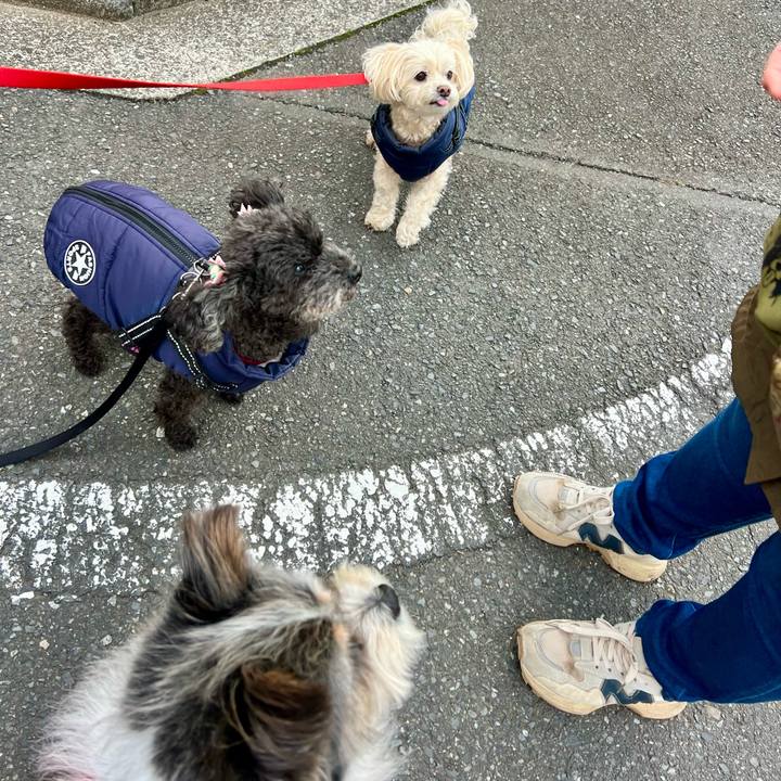 Fa3cada3 04d1 40c7 bdbd 30f77ea569f1 1772871283440