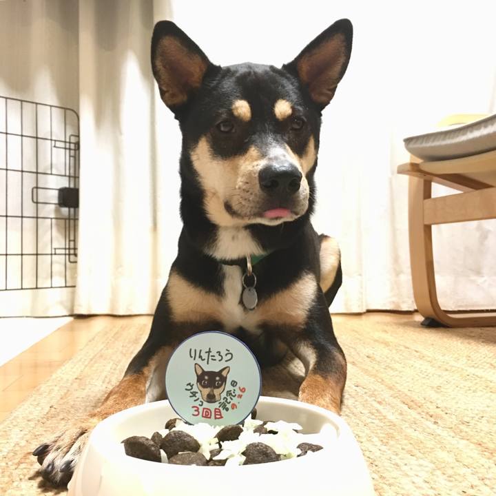 Fa3d049d f1e5 4e15 82fc 2dcf91630c3f 1537960658997