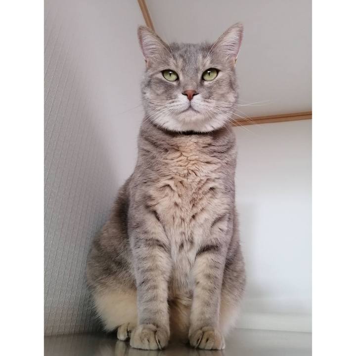 Fa3d04ba 60e6 4885 b4de 93fee447a31e 1627977912505