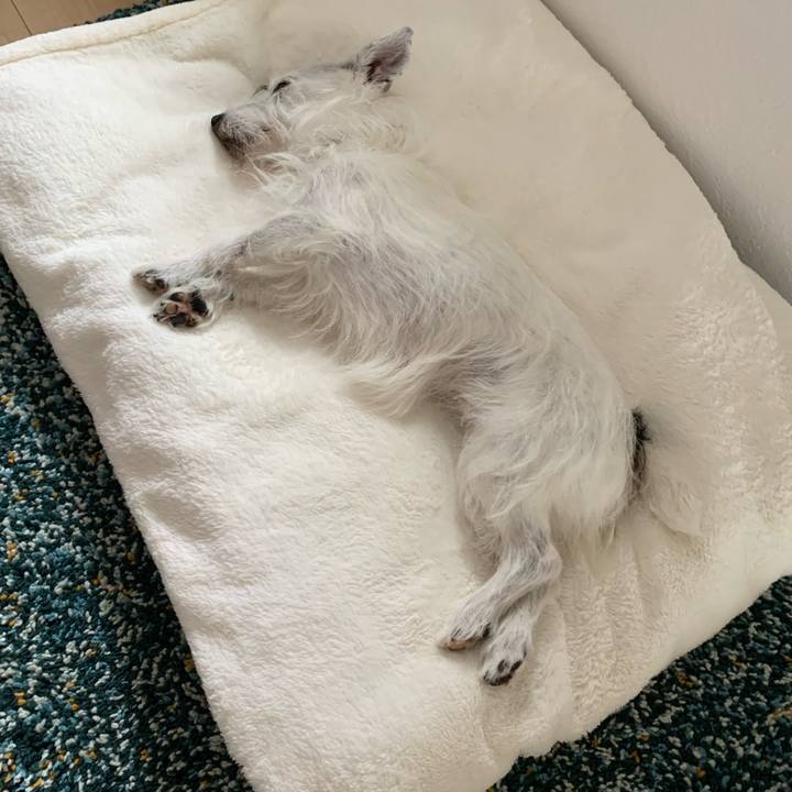 Fa3d0cfc d2c7 4e22 9f4b caa0f8a541bd 1691900817510