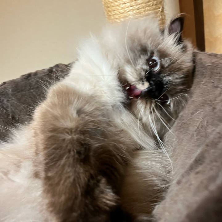 Fa3d93c3 d94a 49ff 9918 53e9efa75103 1672410167949