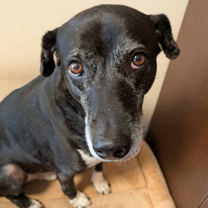 Fa3da6f0 8fb1 4bc8 88c8 6139f59f0156 1765064750049