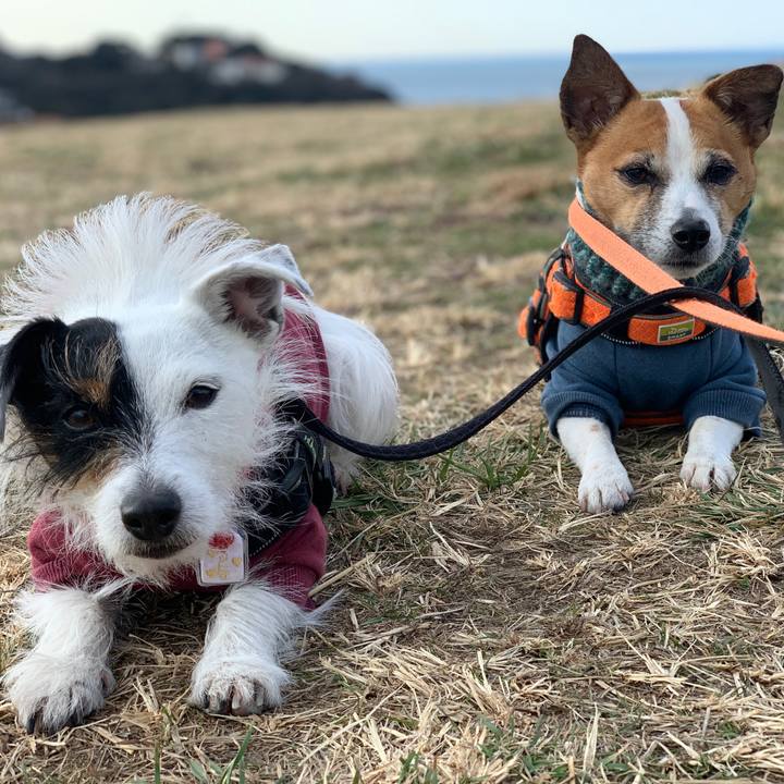 Fa3dd548 261d 4a71 9975 e9e560799a86 1612750099720