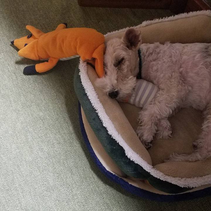 Fa3de3be 4b41 4ee0 9d79 65061d3501a7 1542465166696