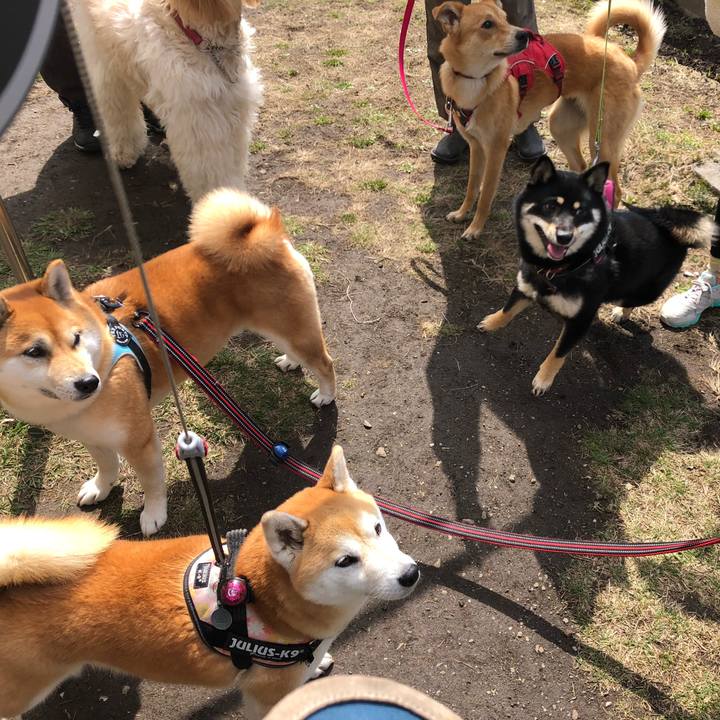 Fa3e08fe 71ec 4de3 9456 5afbff94410b 1586577481128