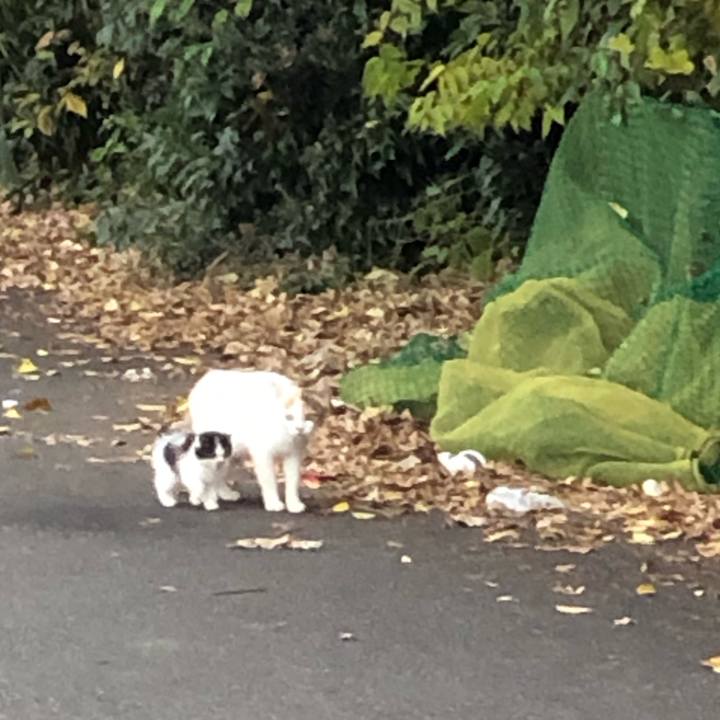 Fa3e0faf 33a1 4647 abb2 3ae39f7676ae 1669425294421