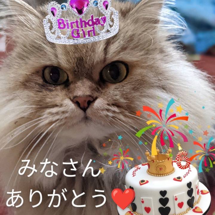 Fa3ec45f 361b 4766 adf3 3c422f2747d5 1639638881596