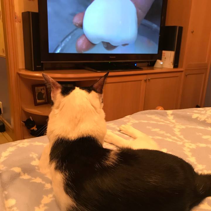 Fa3f1e08 021a 4099 8487 703e378e4233 1516409422228