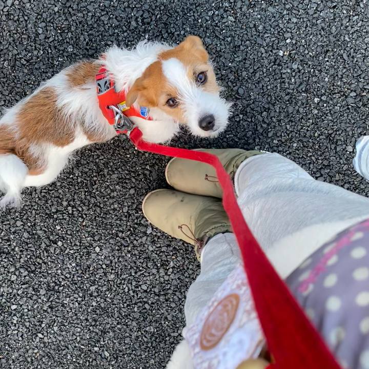 Fa3f49fc 7c95 4c7c 913f f9bd56904b4d 1739399783741