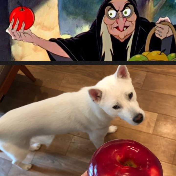 Fa3f8f6e 4422 4888 9dfe 85cf42853a33 1572440636512