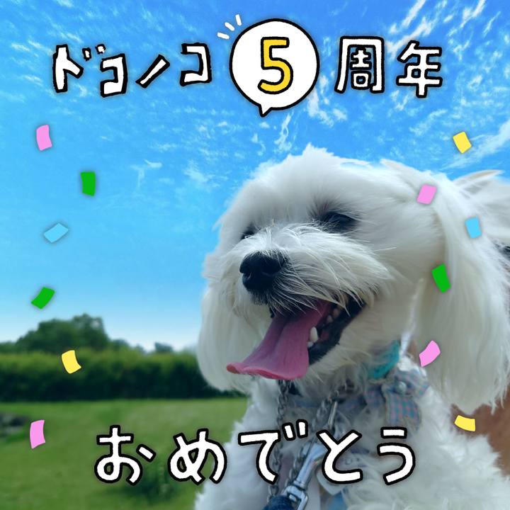 Fa3f97e7 bd78 4659 856d 281aa39ec9d3 1623064409810