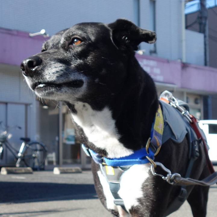 Fa3fa1e7 9bf9 4e28 94e4 7003cf582433 1744763186306