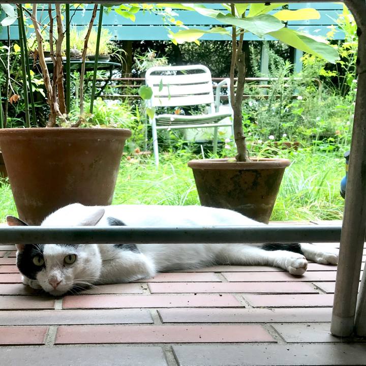 Fa3fb388 e7e5 4009 af9e bde5f4e9fff9 1532569648941