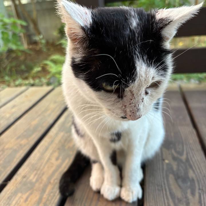 Fa3fc639 ebf9 4cb2 9080 5b0393d9d1f3 1761274408905