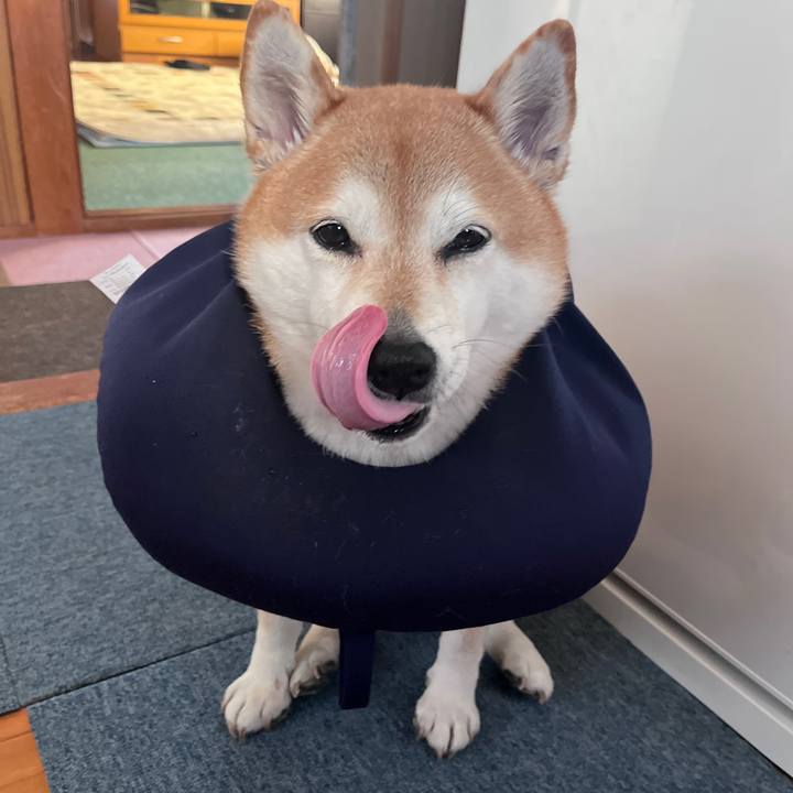 Fa3fcd08 6bde 44fa 8482 a764d820cd99 1703842505110