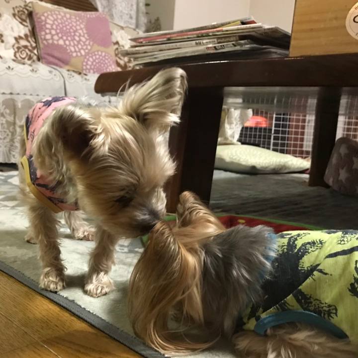 Fa400dcd 9aa2 48e1 8534 4e3a2fbfb98f 1580292359186