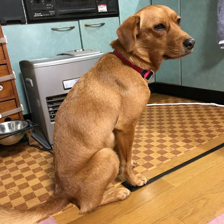 Fa401739 c3b3 4ffc 85e0 633ea222f915 1512895183471