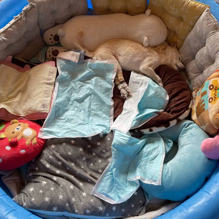 Fa40300c a345 4508 bd90 0b658751aaa1 1678416743345