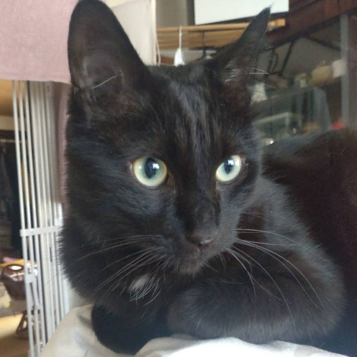 Fa405ec1 8b42 4dd8 9612 da2ec6fce88c 1714524534423